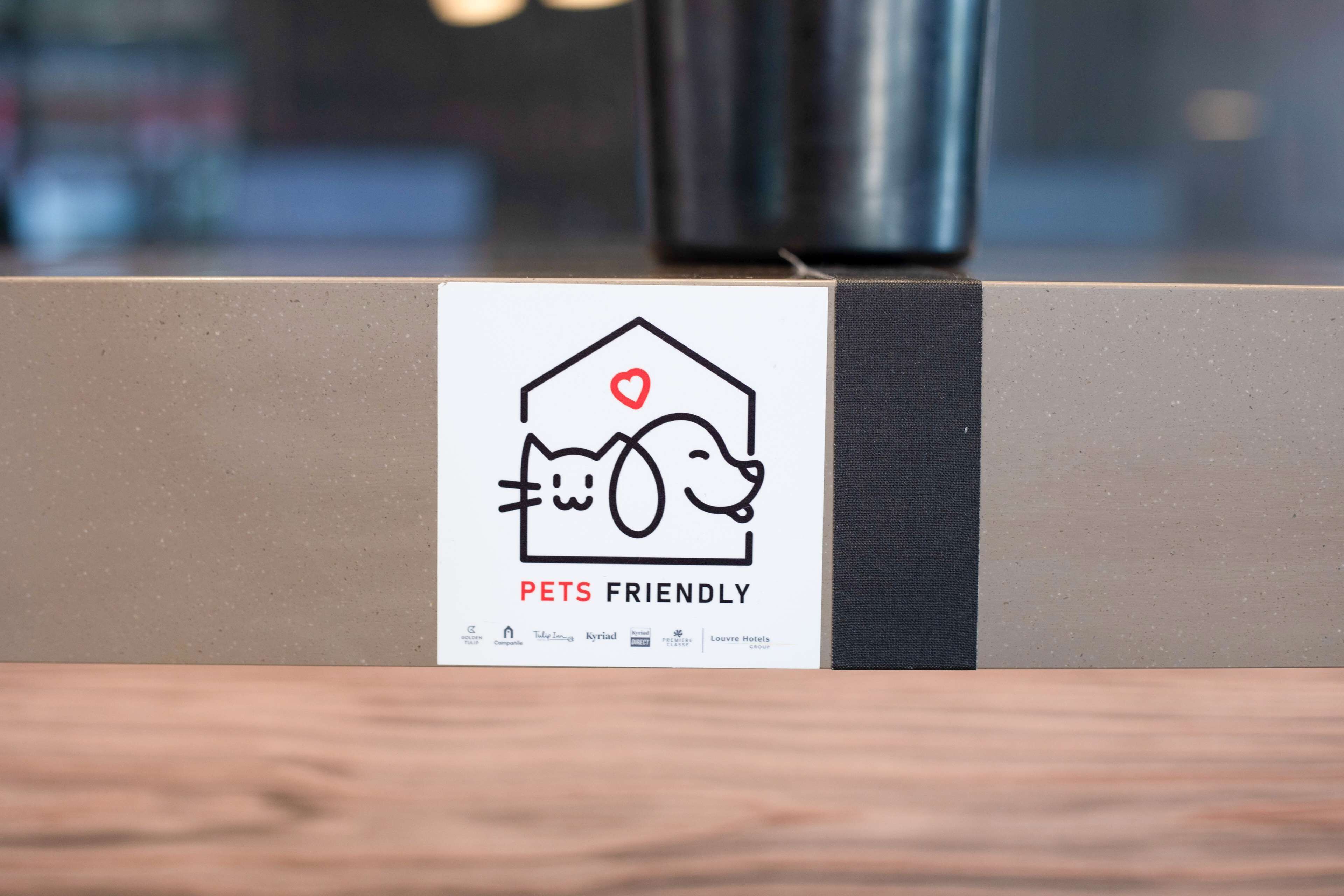 pet-friendly amenities
