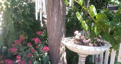 Maa ranskalainen mökki -palaa