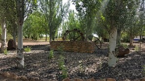 A stone planter with a metal structure in a landscaped area with trees and mulch. - Self catering Complejo Los Arenales for 4 people (Almagro)