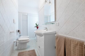 Shower, bidet, towels, toilet paper