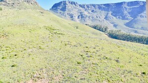 Unclassified image, 2 of 13, button - Bright Studio on the Slopes of Table Mountain (Cape Town)