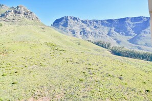 Studio (0 Bedroom) | Exterior - Bright Studio on the Slopes of Table Mountain (Cape Town)