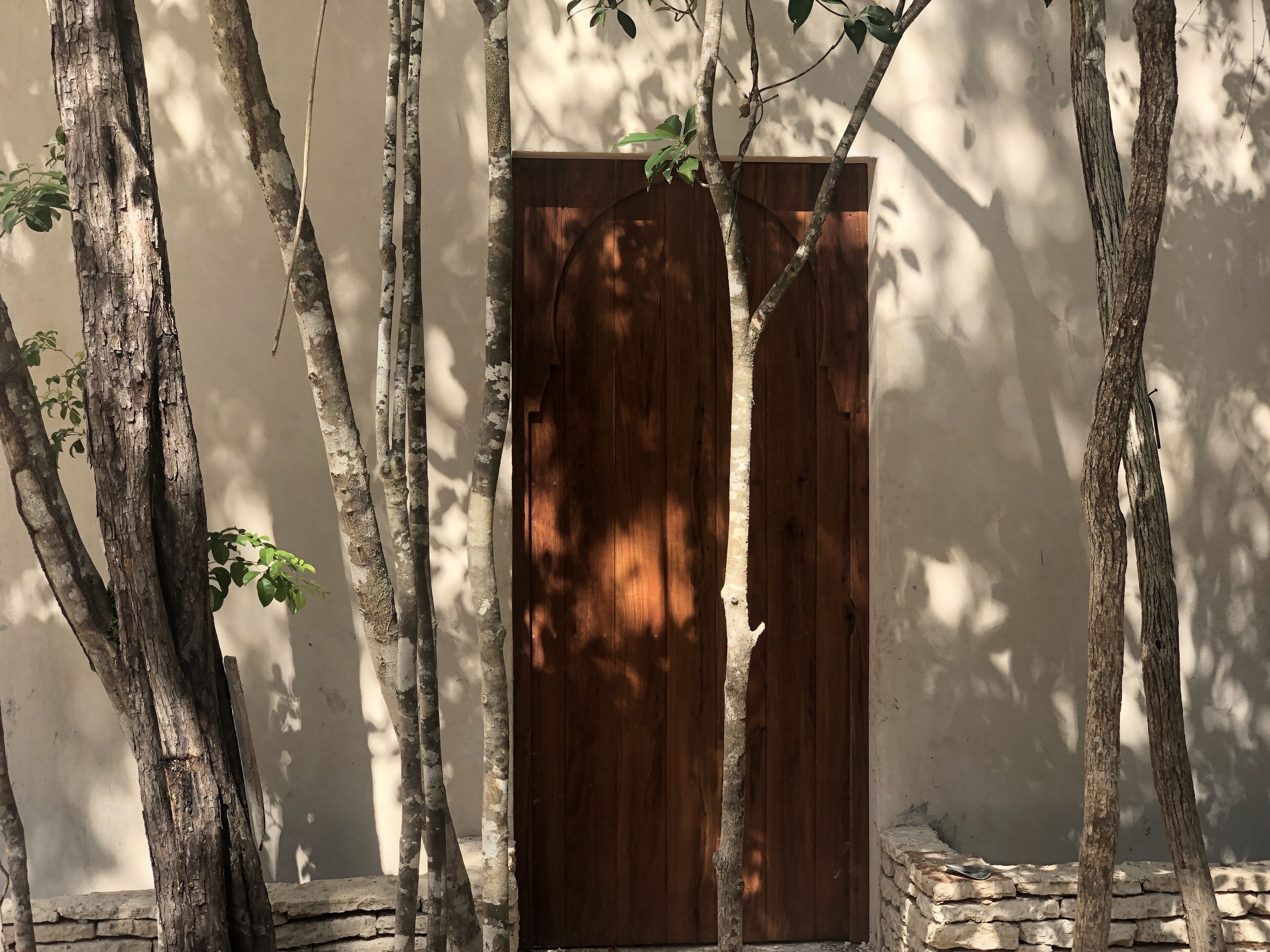 A wooden door with a stone base, surrounded by trees and a plain wall.