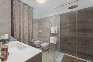 Shower, hair dryer, bidet, towels