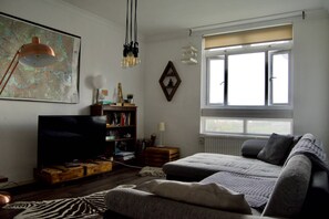 20-英寸纯平电视（配备数码频道）、电视、书