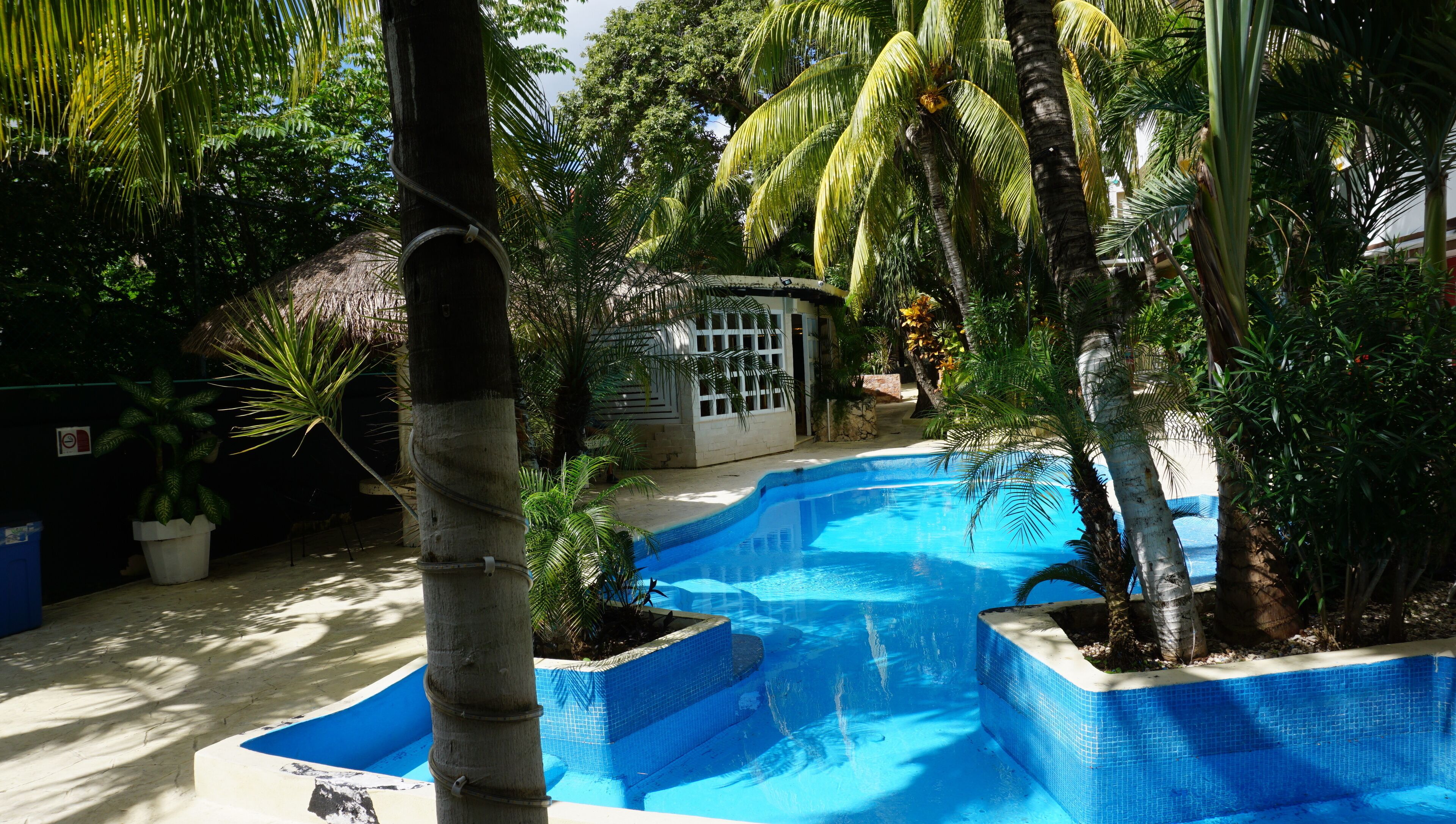 Foto - Hotel Beach Energy 5th Av