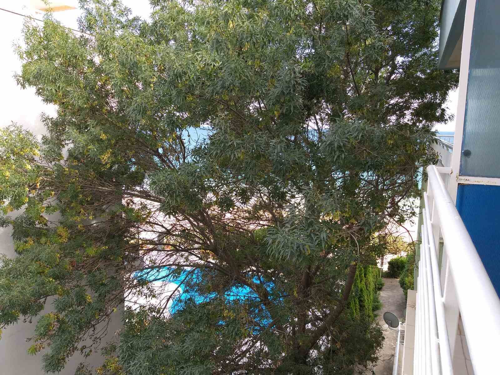 Standard Apartment, 1 Bedroom, Balcony, Park View | Garden view