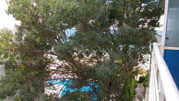 Standard Apartment, 1 Bedroom, Balcony, Park View | Garden view