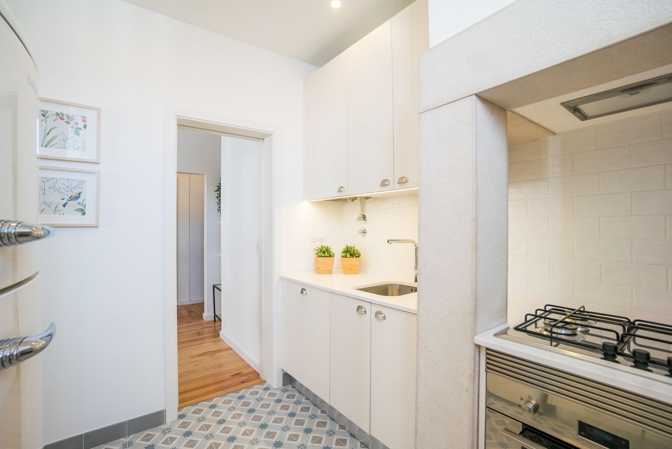 A modern kitchen with white cabinets, a gas stove, and a small sink. There are two potted plants on the countertop.