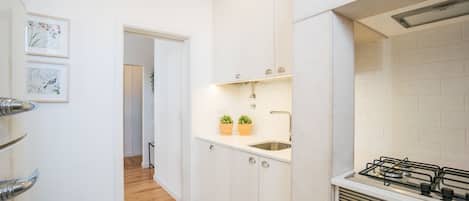A modern kitchen with white cabinets, a gas stove, and a small sink. There are two potted plants on the countertop.