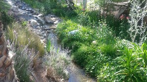 A garden with a small stream, rocks, and various plants. - Private Suite (Paso Robles)