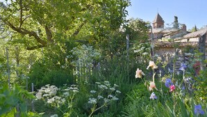 A garden with various flowers and a stone building with a tower in the background. - Wonderful  villa for 5 people with pool, WIFI, TV and patio (Vivo D'orcia)