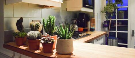 Fridge, oven, dishwasher, cookware/dishes/utensils