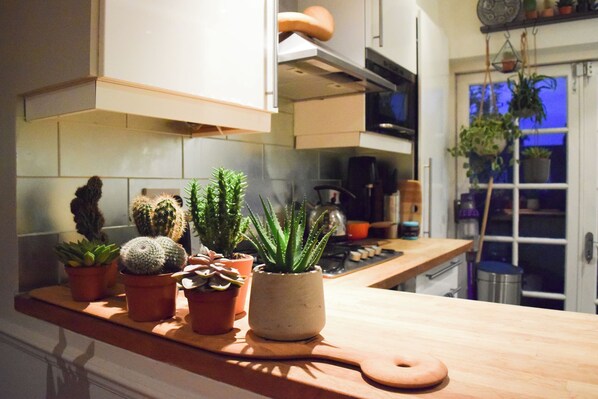 Fridge, oven, dishwasher, cookware/dishes/utensils