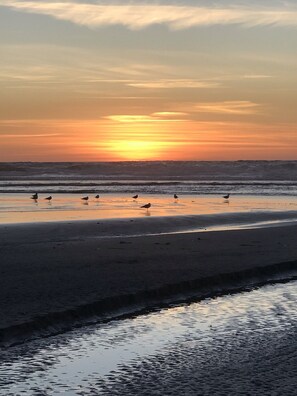Beach nearby, sun-loungers, beach towels