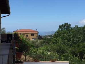 Uitzicht vanuit accommodatie