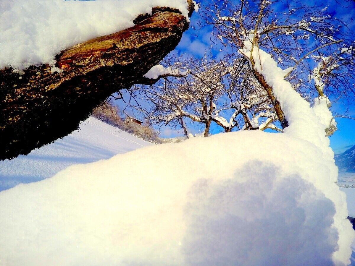 滑雪运动