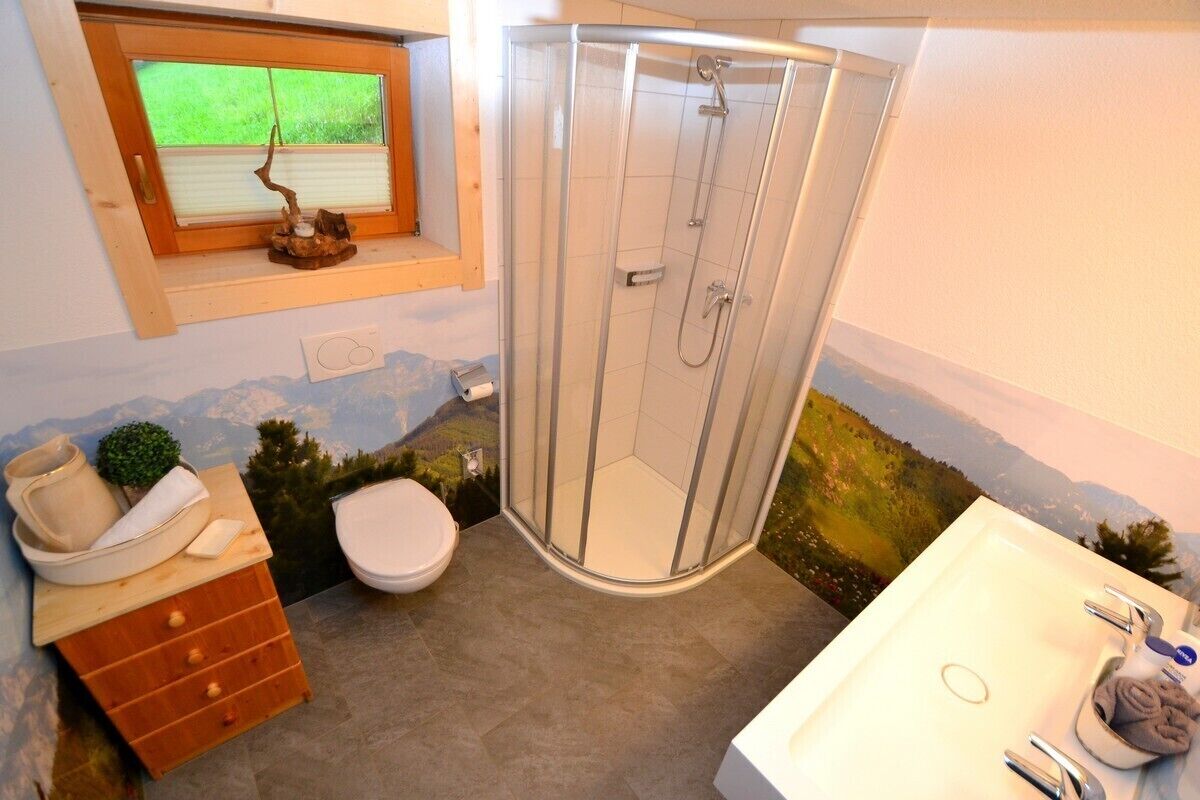Shower, hair dryer, towels, toilet paper