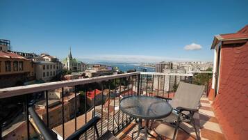 Habitación doble panorámica | Terraza o patio