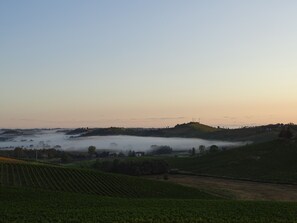A vineyard landscape with rolling hills and mist-covered fields. - Al Tirabusòn Countryhouse (Nizza Monferrato)