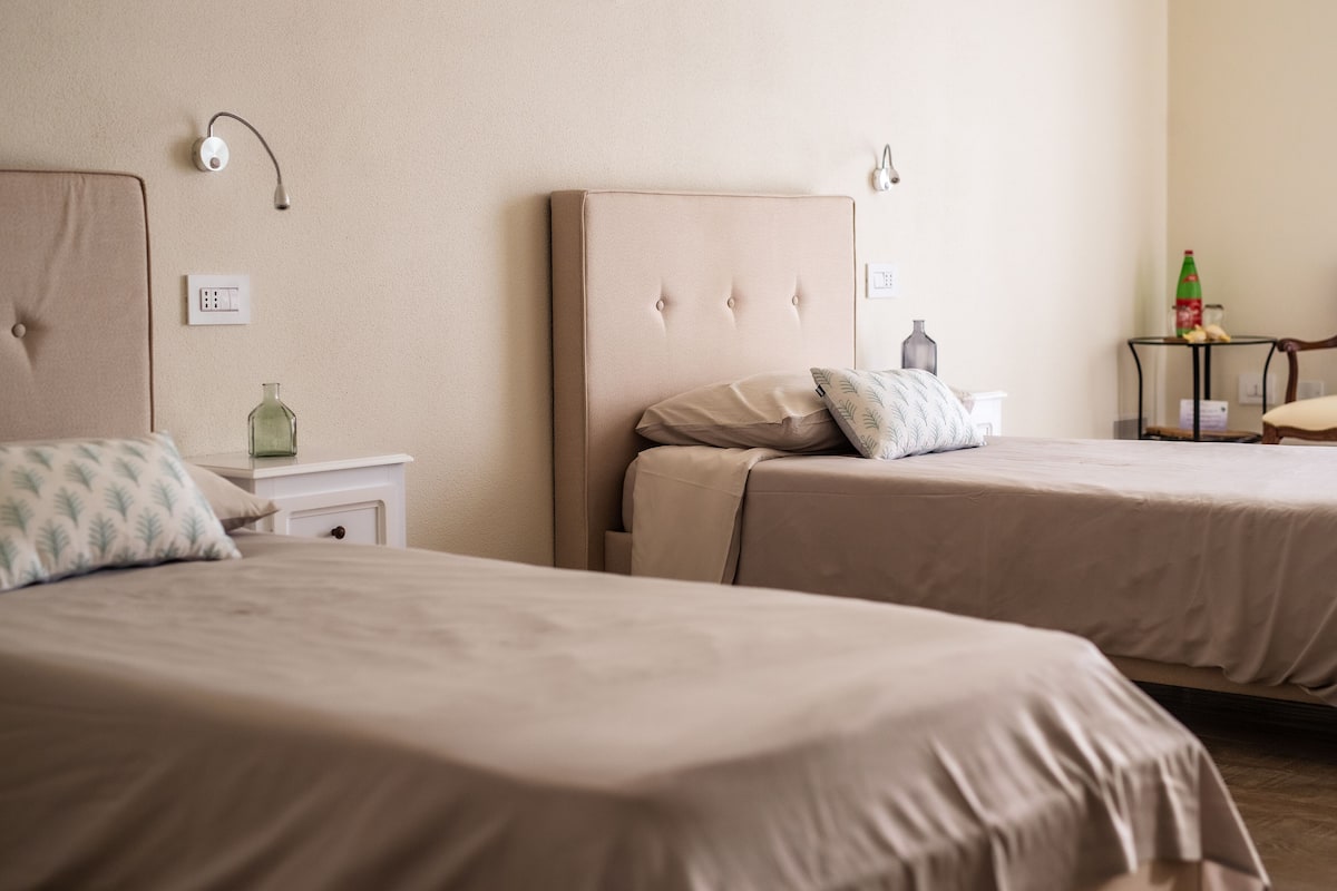 Deluxe Twin Room | 1 bedroom, premium bedding, down comforters, memory foam beds