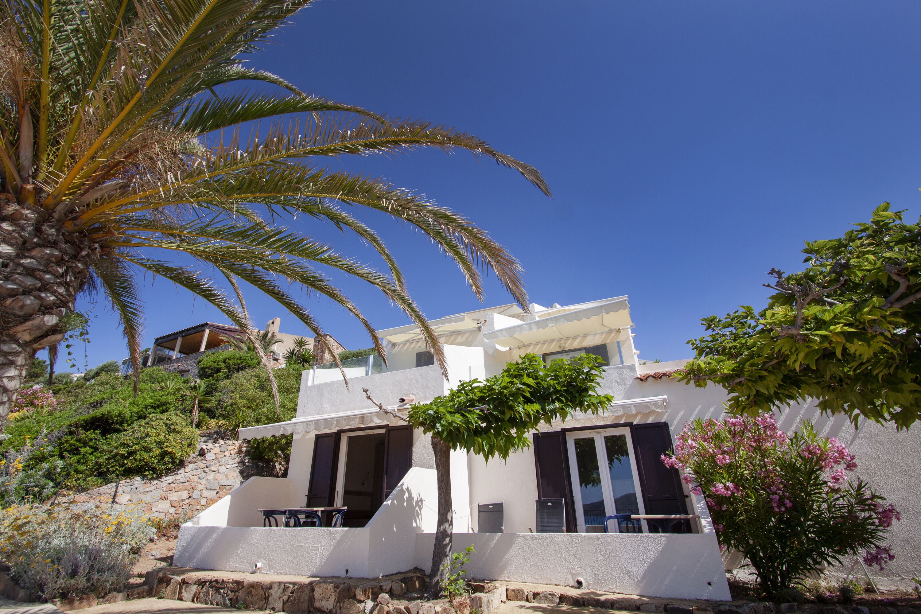 A white villa with a stone staircase, a palm tree, and a pink flowering bush.