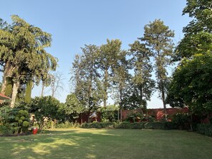 Property grounds - Shean Family Green Farm (Ghitorni) (New Delhi)