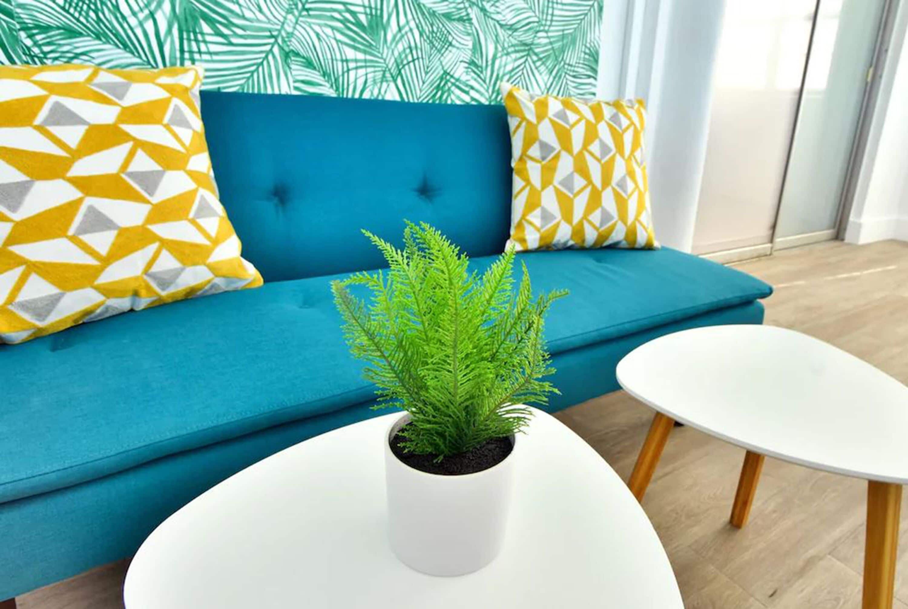 A modern living room with a teal sofa, geometric patterned pillows, a small potted plant, and a white coffee table.