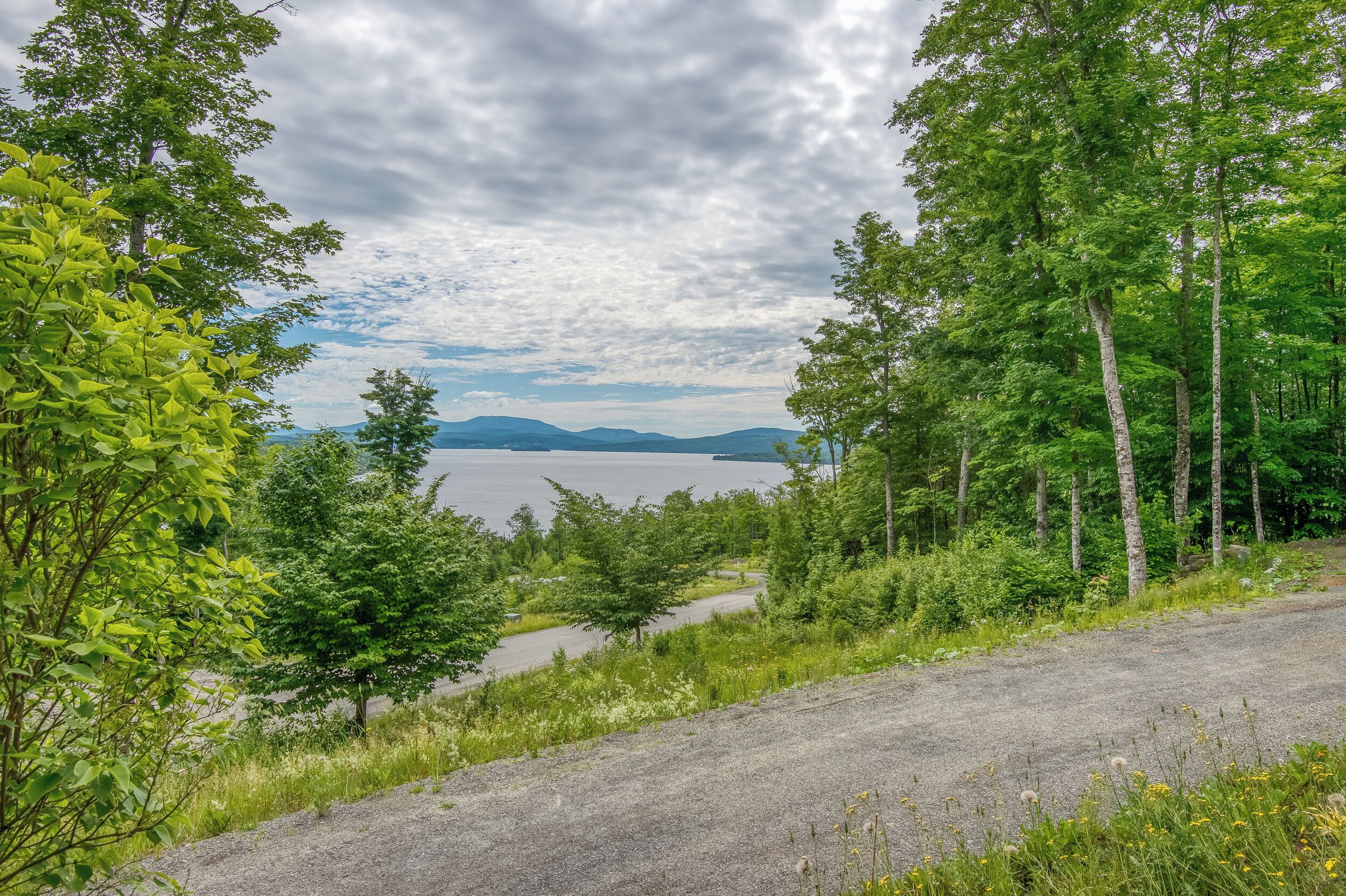 A gravel road with dense green foliage and trees on both sides, leading to a body of water with distant mountains.