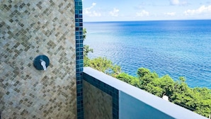 Pared de azulejos con cabezal de ducha, con vista a una masa de agua y vegetación.