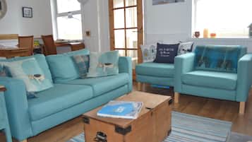 Smart TV, fireplace, DVD player, books