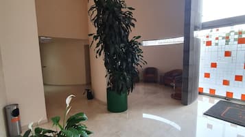 Patinaje sobre hielo