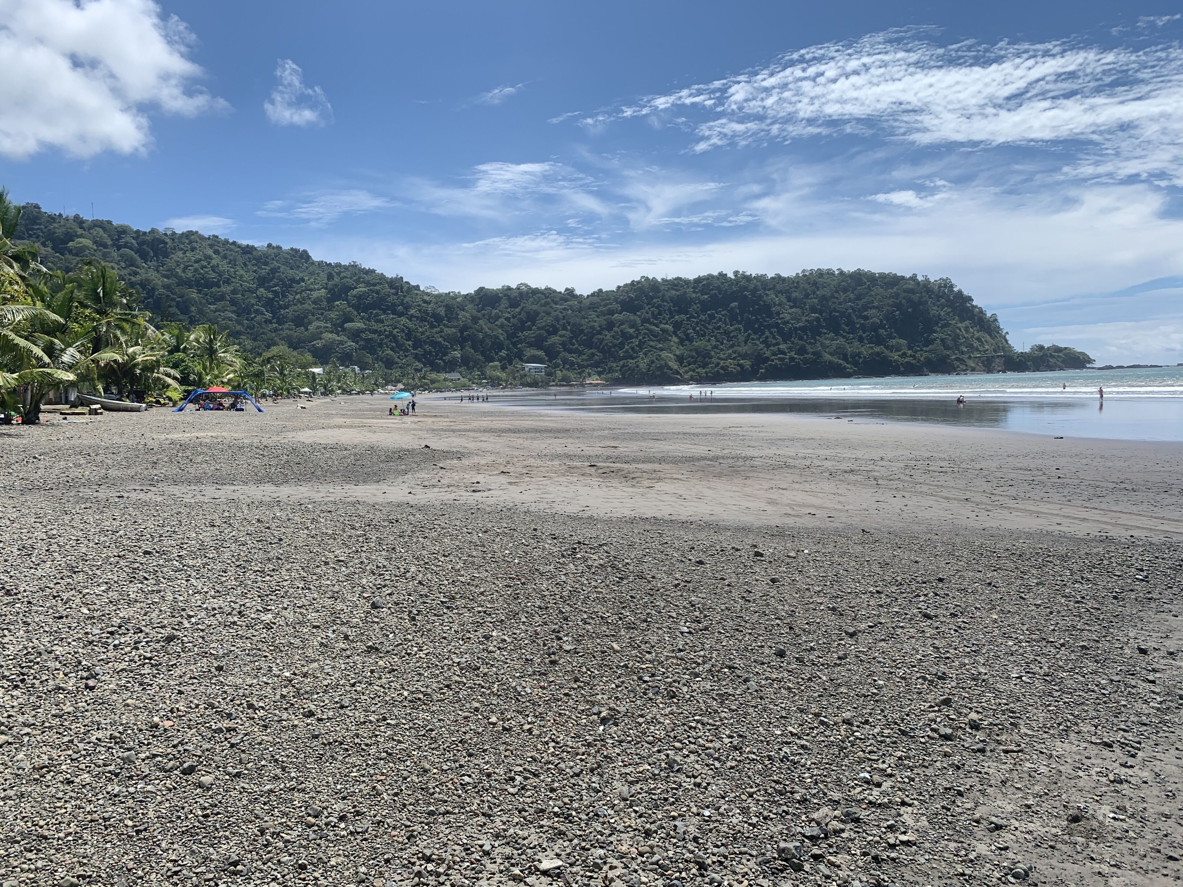 A pebbled beach with palm trees and a forested hill in the background.