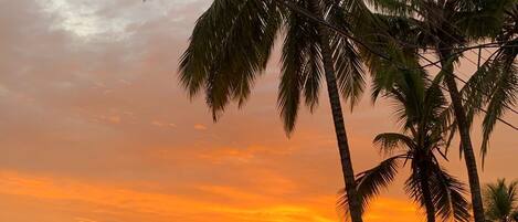 On the beach, black sand