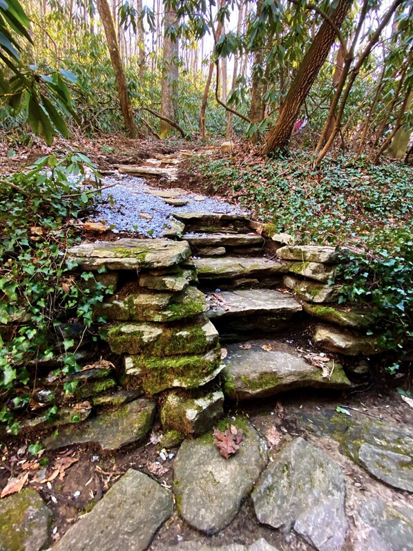 Overnattingsstedets uteområder