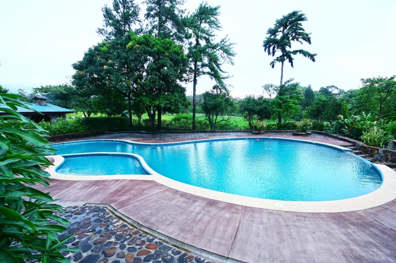 Uma piscina com borda curva, rodeada por um caminho de pedra e vegetação exuberante, incluindo árvores altas e diversas plantas.