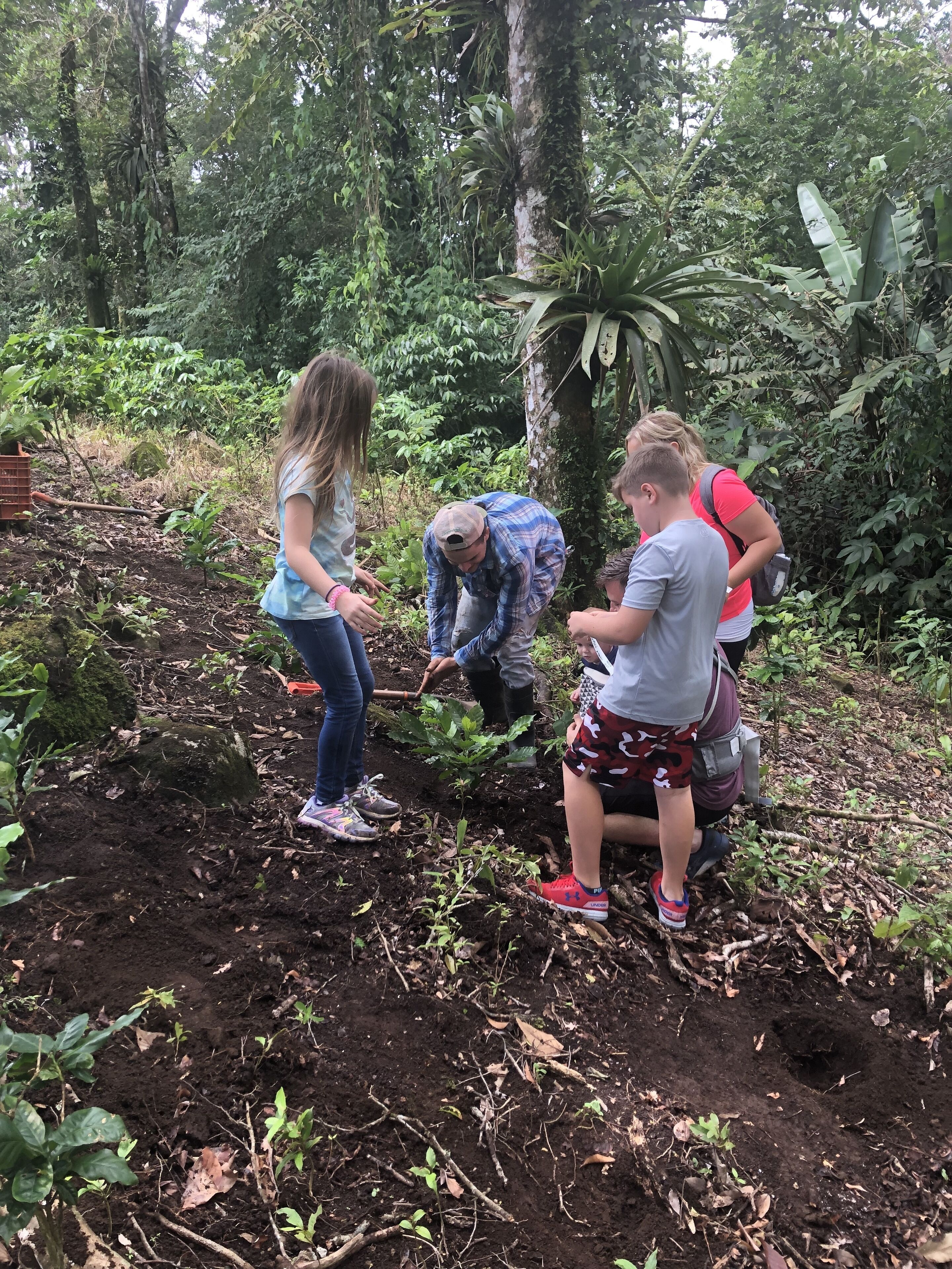 Un grup de persones realitzant tasques de jardineria en una zona boscosa amb vegetació abundant i arbres.