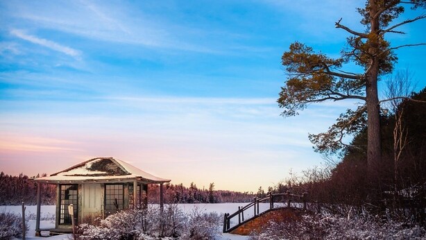 Eine kleine, rustikale Holzhütte mit Glastür, umgeben von schneegebundenen Bäumen und blauem Himmel.