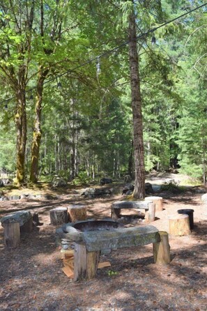 Cabin (Elder Family Lodge) | Property grounds - Elder Family Lodge (Packwood)