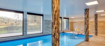 Scandinavian - pool - fireplace - Trendy