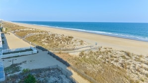 Une plage avec un sentier de sable et des dunes, un ciel bleu dégagé et une mer calme.