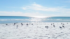 Unclassified image, 4 of 35, button - Beachy Keen #501 Free Beach Svc 2 Chairs and Umbrella 2Bd 2Bath 1st Fl (Destin)
