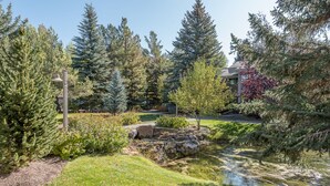A landscaped garden with a small pond, various shrubs, and tall trees.