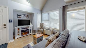 TV, fireplace, DVD player, books