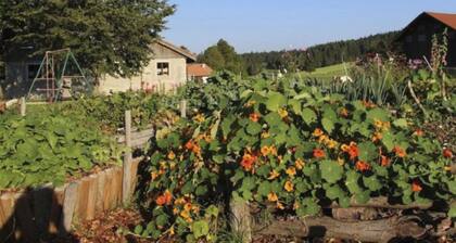 Maison de vacances - Les Hirondelles by Interhome