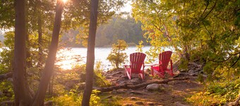 Dog friendly Loft, shared seasonal pool/close to lifts