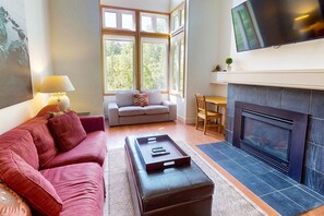 TV, fireplace, DVD player