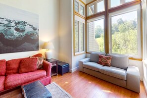 Televisión, chimenea y reproductor de DVD 