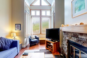 TV, fireplace, DVD player