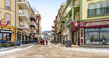 Studio confortable avec bain à remous et piscine / bain à remous partagés - à pied des ascenseurs, chiens OK!
